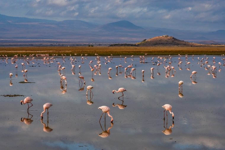 076 Amboseli Nationaal Park.jpg
